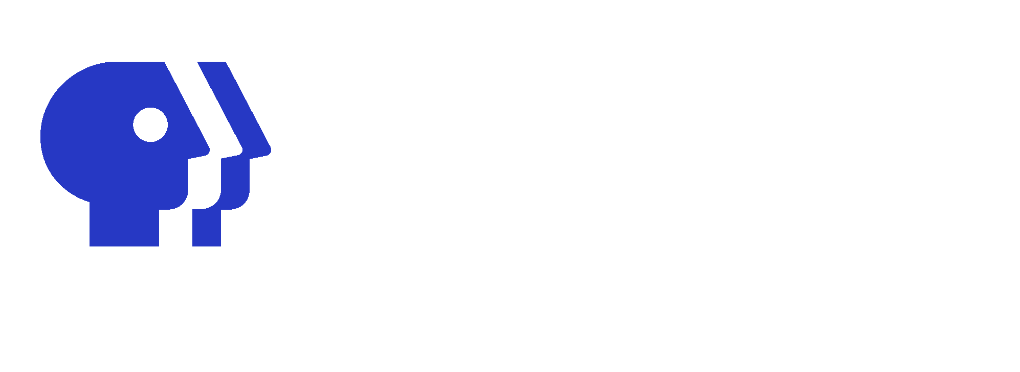 PBS Distribution logo